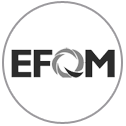 EFQM Gris